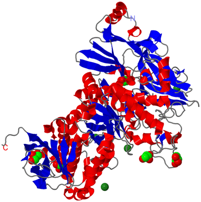 Image Asym./Biol. Unit