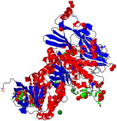 Image Asym./Biol. Unit - sites