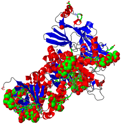 Image Asym./Biol. Unit - sites