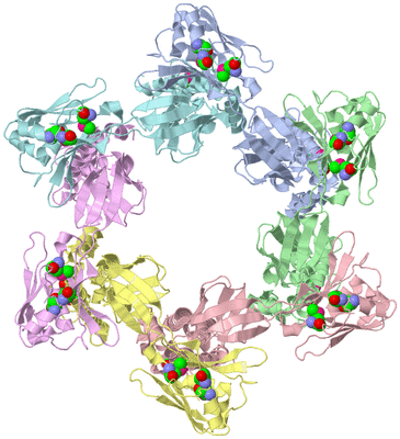 Image Asym./Biol. Unit