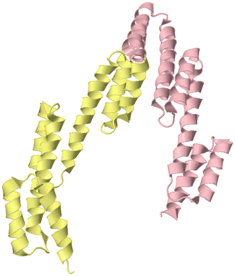 Image Asymmetric Unit