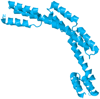 Image Biological Unit 10