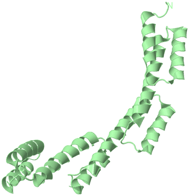 Image Biological Unit 4