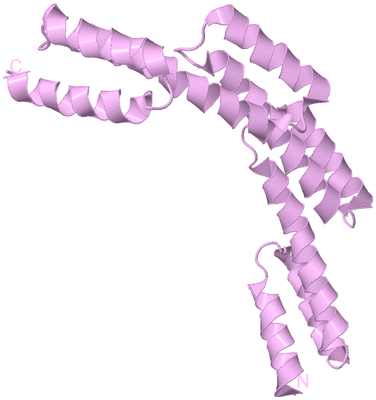 Image Biological Unit 5