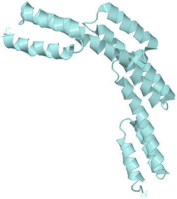 Image Biological Unit 6