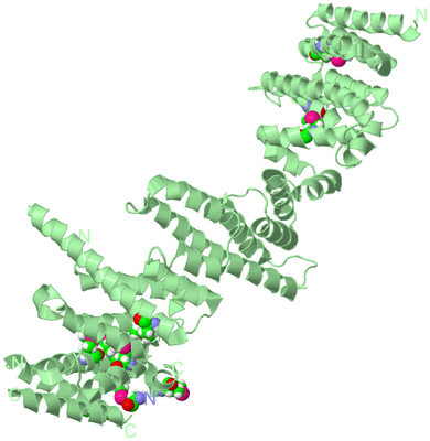 Image Biological Unit 2