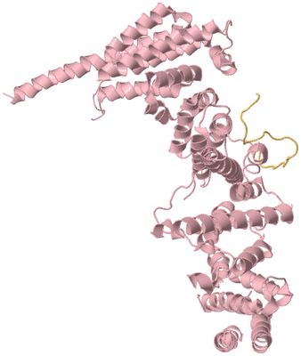 Image Biological Unit 3