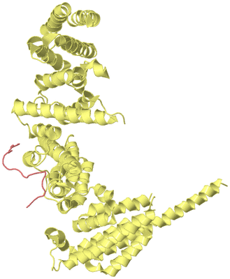 Image Biological Unit 4