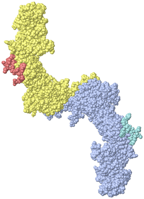 Image Biological Unit 6