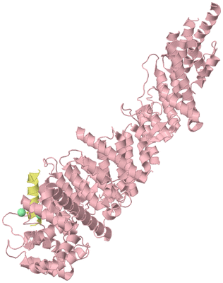 Image Biological Unit 2