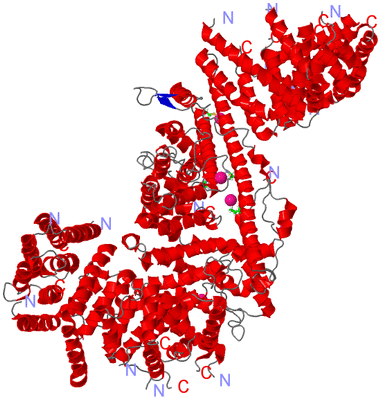 Image Asym./Biol. Unit - sites