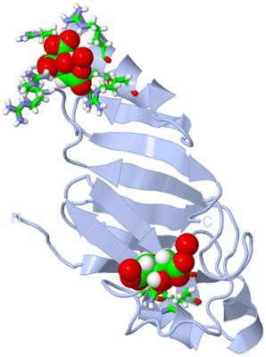 Image Biol. Unit 1 - sites