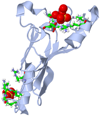 Image Biol. Unit 1 - sites