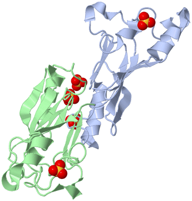 Image Biological Unit 3