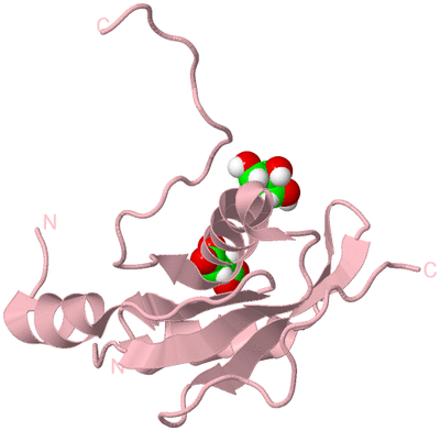 Image Biological Unit 3