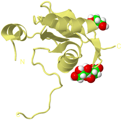 Image Biological Unit 4