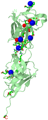 Image Biol. Unit 1 - sites