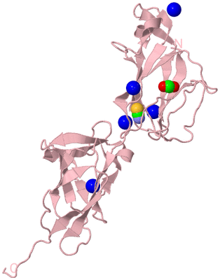 Image Biological Unit 3