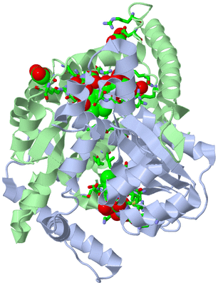 Image Asym./Biol. Unit - sites