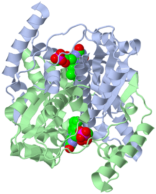 Image Biological Unit 1