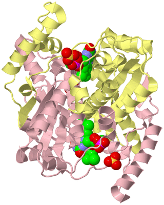 Image Biological Unit 2