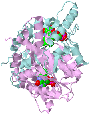 Image Biological Unit 3