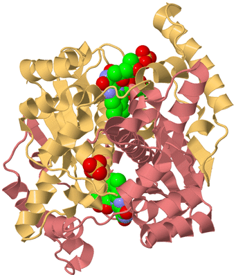 Image Biological Unit 4