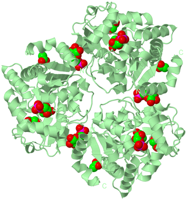 Image Biological Unit 2