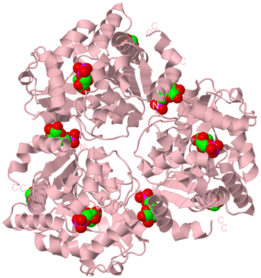 Image Biological Unit 3