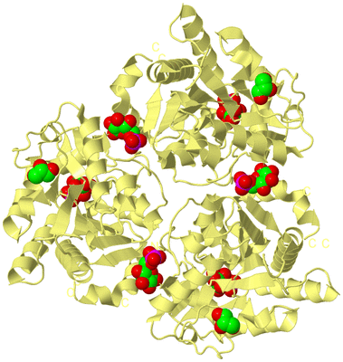 Image Biological Unit 4