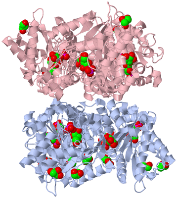 Image Biological Unit 5