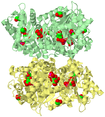 Image Biological Unit 6