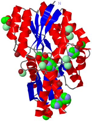 Image Asym./Biol. Unit