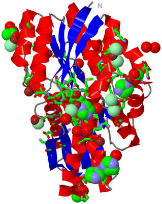 Image Asym./Biol. Unit - sites