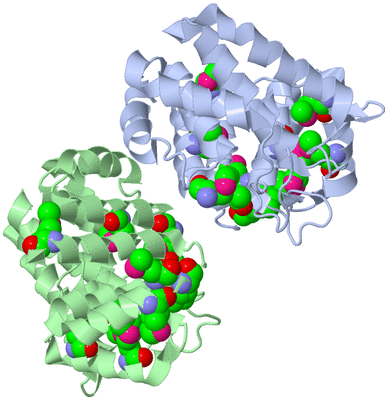 Image Asym./Biol. Unit