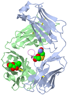 Image Biological Unit 1