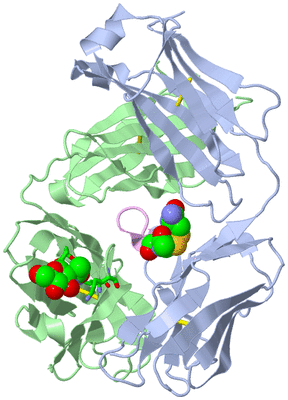 Image Biol. Unit 1 - sites