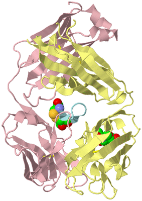 Image Biological Unit 2