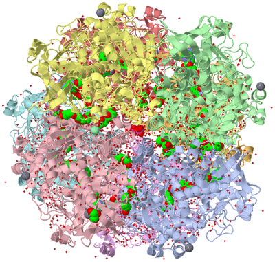 Image Asym./Biol. Unit