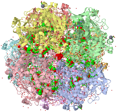 Image Asym./Biol. Unit - sites