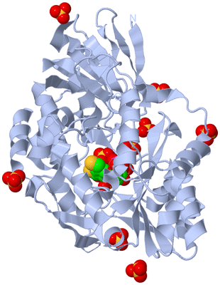 Image Biological Unit 1