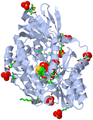 Image Biol. Unit 1 - sites