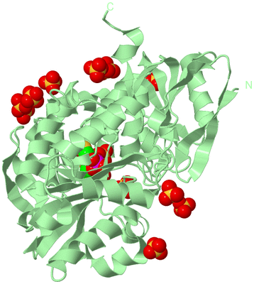 Image Biological Unit 2