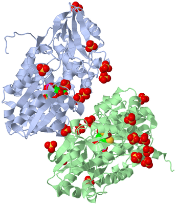 Image Biological Unit 3