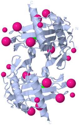 Image Biological Unit 1