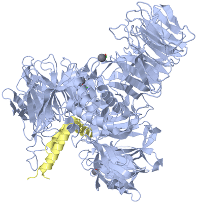 Image Biol. Unit 1 - sites