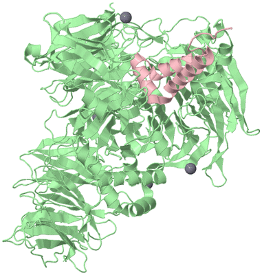 Image Biological Unit 2