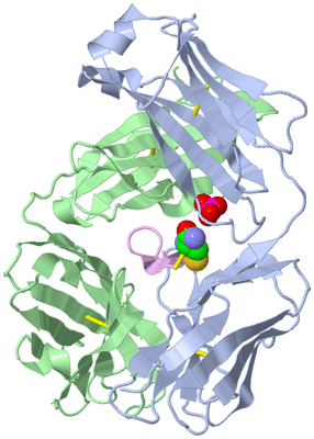 Image Biological Unit 1