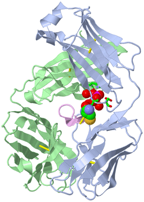 Image Biol. Unit 1 - sites