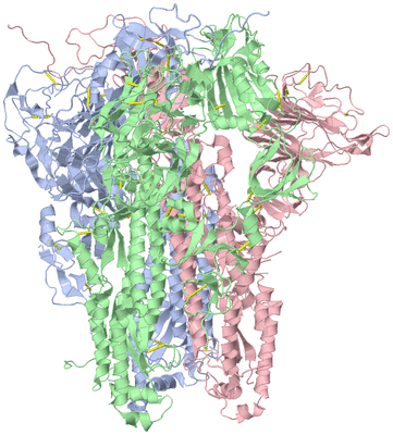 Image Asym./Biol. Unit